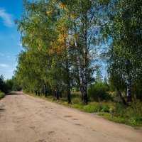 Сельская дорога :: Александр Синдерёв