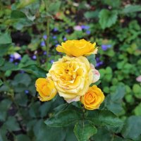 ,,, :: Сергей Тимоновский