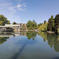 Парк в Новом Афоне :: Татьяна Пальчикова