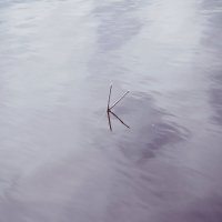 Назва. отсу. :: Денис Безногов