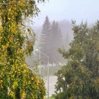 Осенним , туманным утром . :: Мила Бовкун