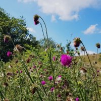 ПОХОД НА ЛАГО НАКИ :: Tata Wolf