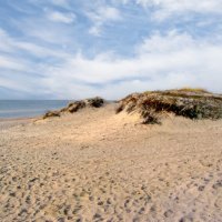 Дюны :: Сергей Карачин Дюны :: Сергей Карачин