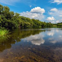 **** :: Виталий Емельянов