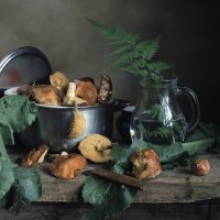 Маслята :: Валентина 