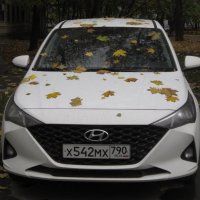 Hyjndai в кленовых листьях :: Дмитрий Никитин