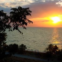 Солнце над морем :: Александр Павлович Казаев