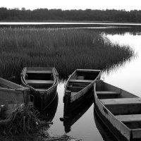 Кушела :: Роман Д