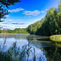 Картинка Смоленской осени. :: Милешкин Владимир Алексеевич 