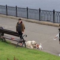 Знакомство на набережной :: Любовь 