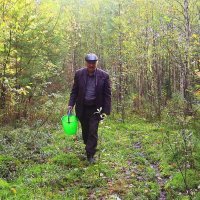 Август...Росное утро грибника! :: Владимир 