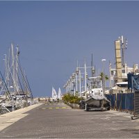 Тель Авив * 25,08,2025г :: ujgcvbif 