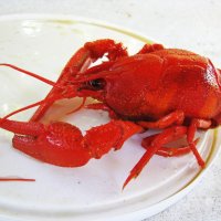 Вкуснятина :: Людмила Смородинская