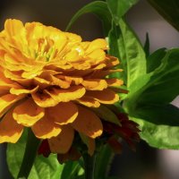 Краски сентября :: rimgis 