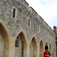 Ох, рано встаёт охрана... :: Ольга 