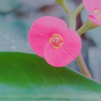 13  ОПЕН (288) :: OPEN WAYS ALL