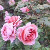 ,,, :: Сергей Тимоновский