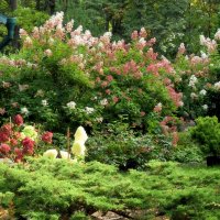 Райский уголок. :: Татьяна Помогалова