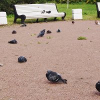 ЗАТИШЬЕ :: Виктор Никитенко ЗАТИШЬЕ :: Виктор Никитенко