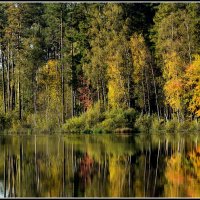 Осень наступила... :: Aleksandr Gal