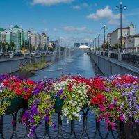 Цветы :: Владимир Жуков