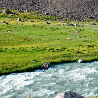 ПРИТОК ОЙГАИНГА. h- 2600м. :: Виктор Осипчук ПРИТОК ОЙГАИНГА. h- 2600м. :: Виктор Осипчук