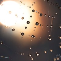 *** :: Елена Kазак (selena1965)