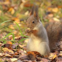 ... :: Вячеслав Минаев ... :: Вячеслав Минаев