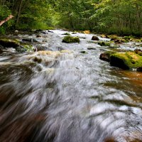 река Рагуша :: Laryan1 