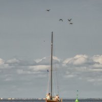 Про Питер :: Владимир Колесников