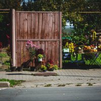 Суздаль. Дары лета :: Вячеслав Владимирович Суздаль. Дары лета :: Вячеслав Владимирович