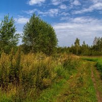 На исходе лета 7 :: Андрей Дворников