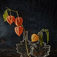 Осенний джаз :: Галина Левина