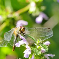 Природа конца лета 7 :: Александр Прокудин Природа конца лета 7 :: Александр Прокудин