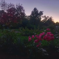 Закат :: Сапсан 