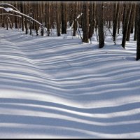 Дорога :: **** vedin Дорога :: **** vedin