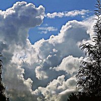 Август...Облачный Михайло Иванович! :: Владимир 