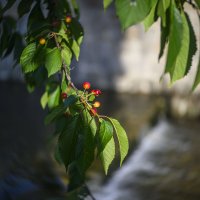 * :: Осень * :: Осень