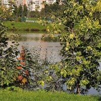 Берег левый , берег правый - уже осенний ! :: Анатолий Колосов Берег левый , берег правый - уже осенний ! :: Анатолий Колосов