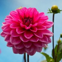 Доброе утро :: Юрий. Шмаков