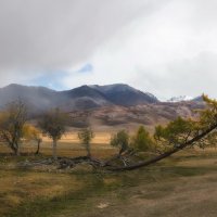 Качели :: Марина Фомина. Качели :: Марина Фомина.