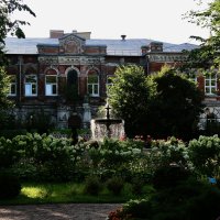 Кусочек сада в Рыбинске :: Любовь 