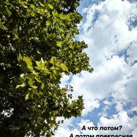 *** :: Oksana Verkhoglyad