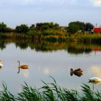 Утро. :: Владимир 