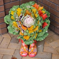 Артфото :: Галина Левина