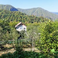 ГОРНЫЙ ПОСЕЛОК :: Tata Wolf