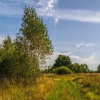 На исходе лета 8 :: Андрей Дворников