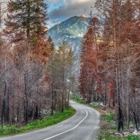 Кавказ :: Владимир Колесников Кавказ :: Владимир Колесников