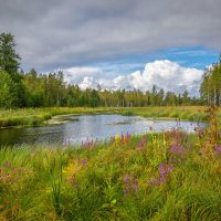 **** :: Елизавета .
