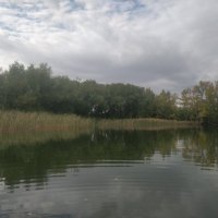 Жосалы :: Андрей Хлопонин